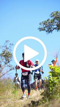 BIB:  <button type="button" onclick="openModal(26598099)" class="btn btn-primary btn-sm float-right" data-toggle="modal" data-target=".modal-high-quality">
                <i class="fa fa-download"></i> Download
                </button>